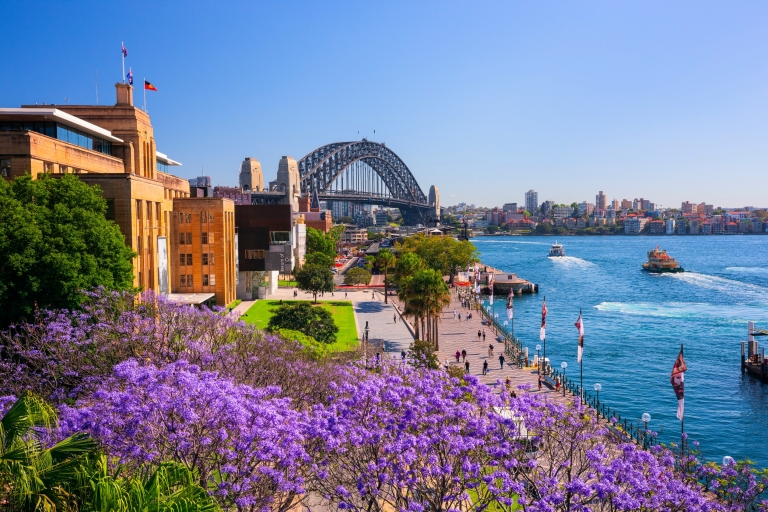 nsw-promotion nsw-promotion