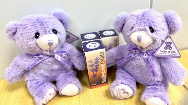 昆士兰定制款子母袋鼠公仔&潜水考拉公仔