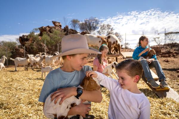 探索北领地，您一定会拥有一生难忘的奇妙经历