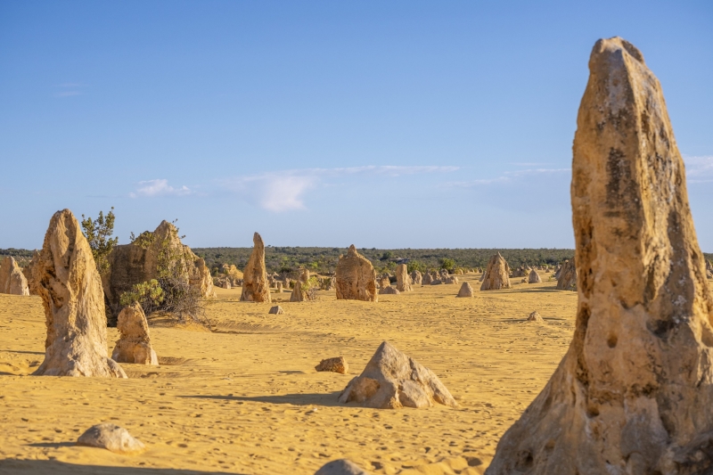 最新资讯 最新资讯