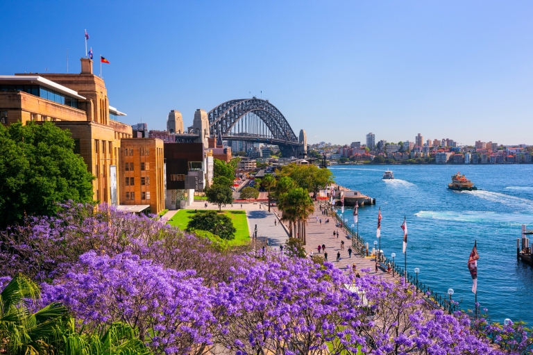 nsw-promotion
